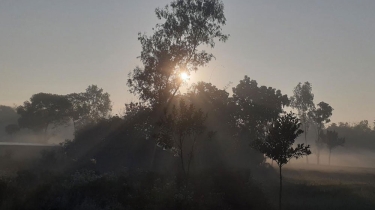 পাঁচ দিন ধরে শৈত্যপ্রবাহে কাঁপছে পঞ্চগড়