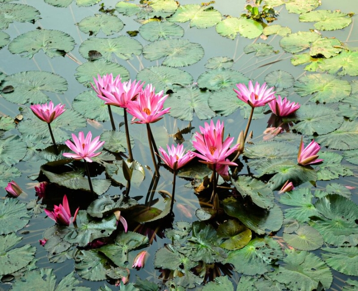 ছবি গ্যালারী