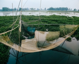 ছবি গ্যালারী